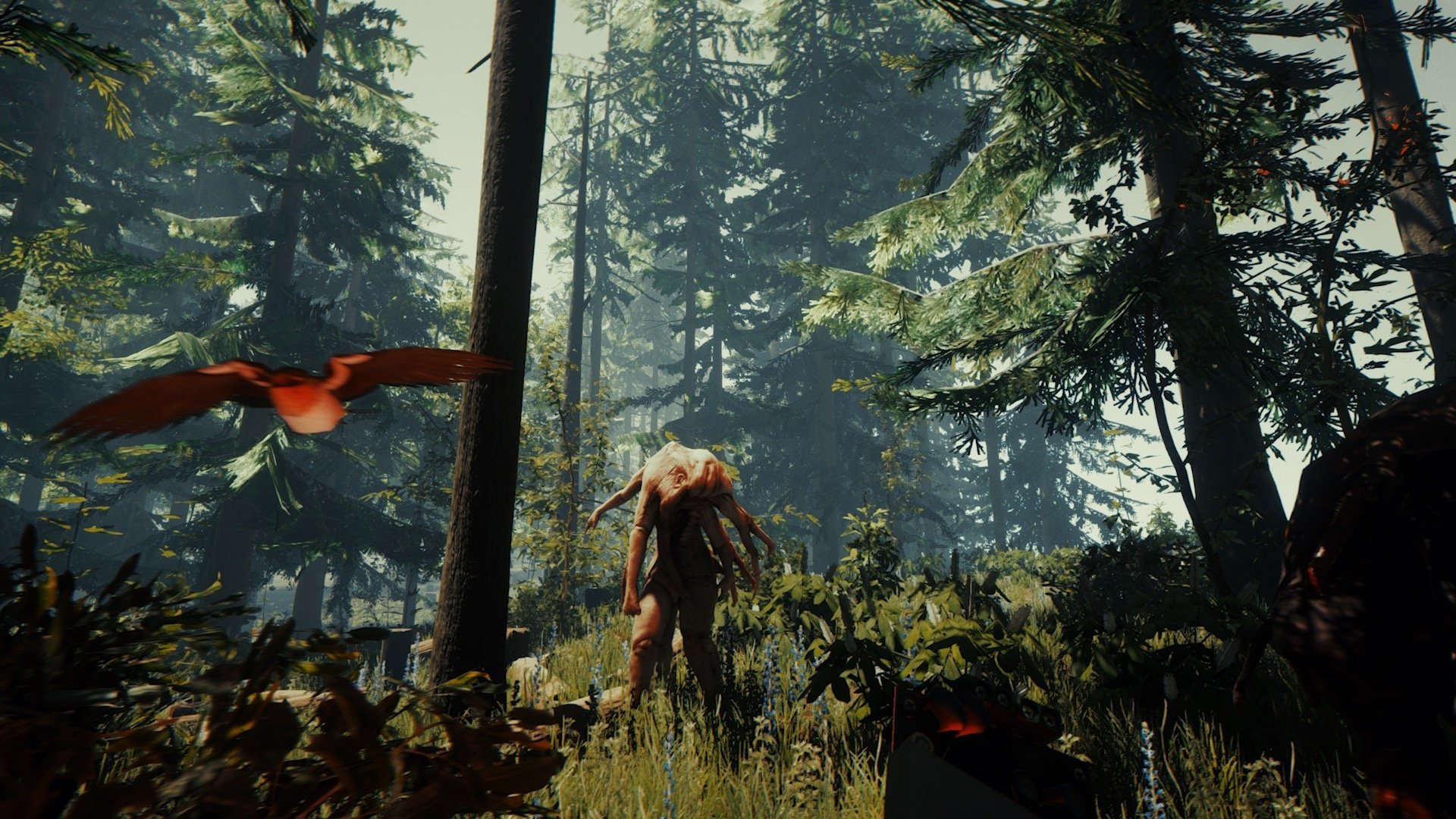 Get Lost in the Woods When The Forest Launches on PS4 in ...