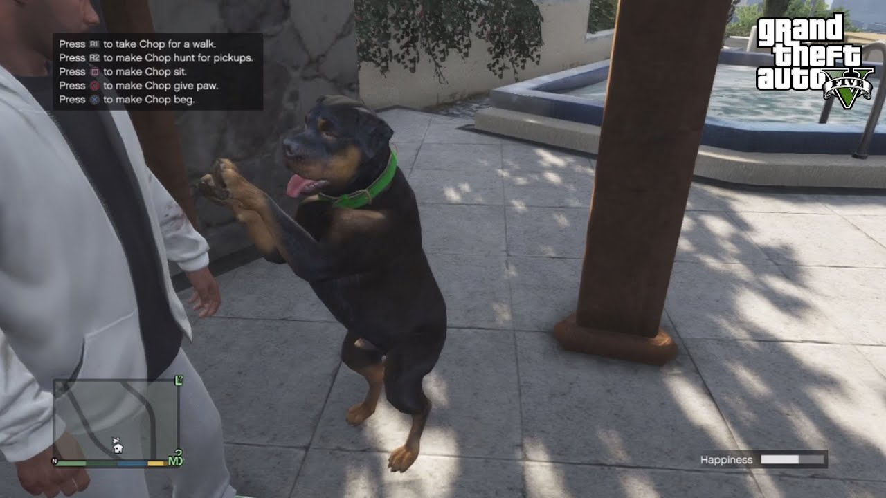 GTA V : All Of Chops Tricks Sit,Beg, And Paw !