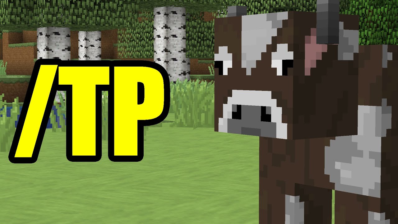 How To Teleport Mobs In Minecraft 1.16