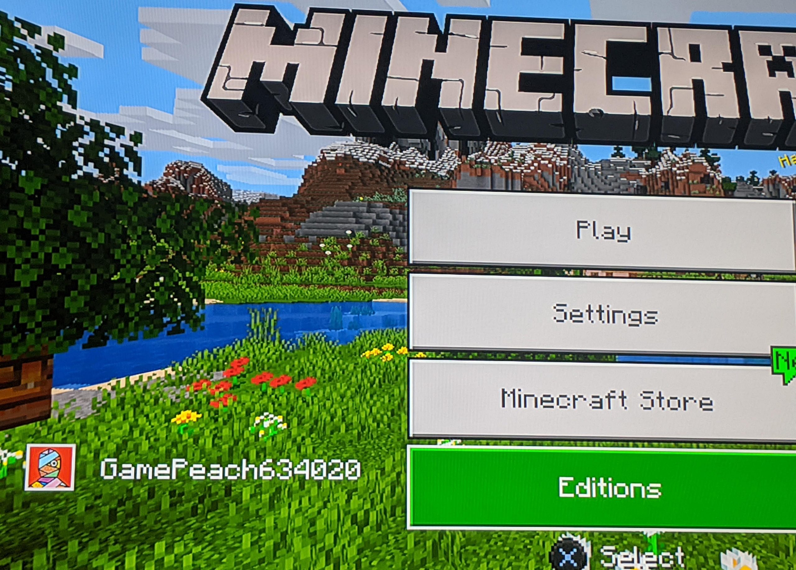 Minecraft Ps4 How To Change Gamertag