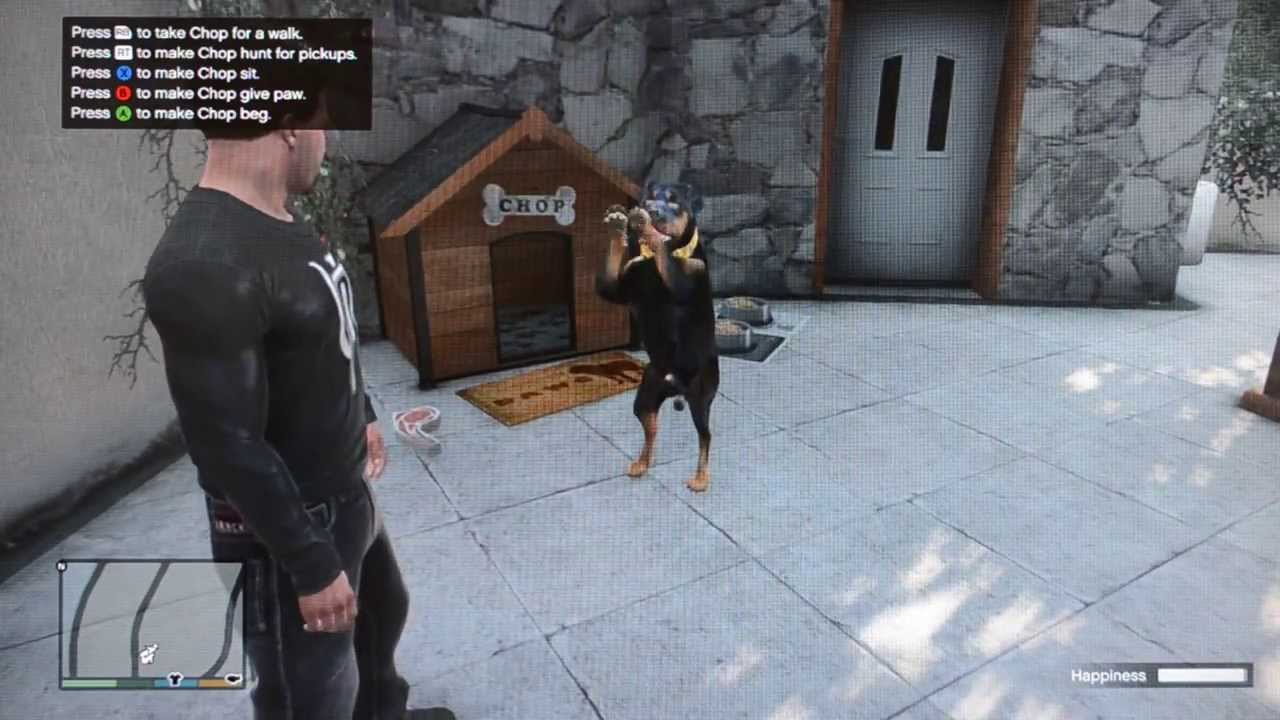 Teach Chop the Dog New Tricks GTA V (5)